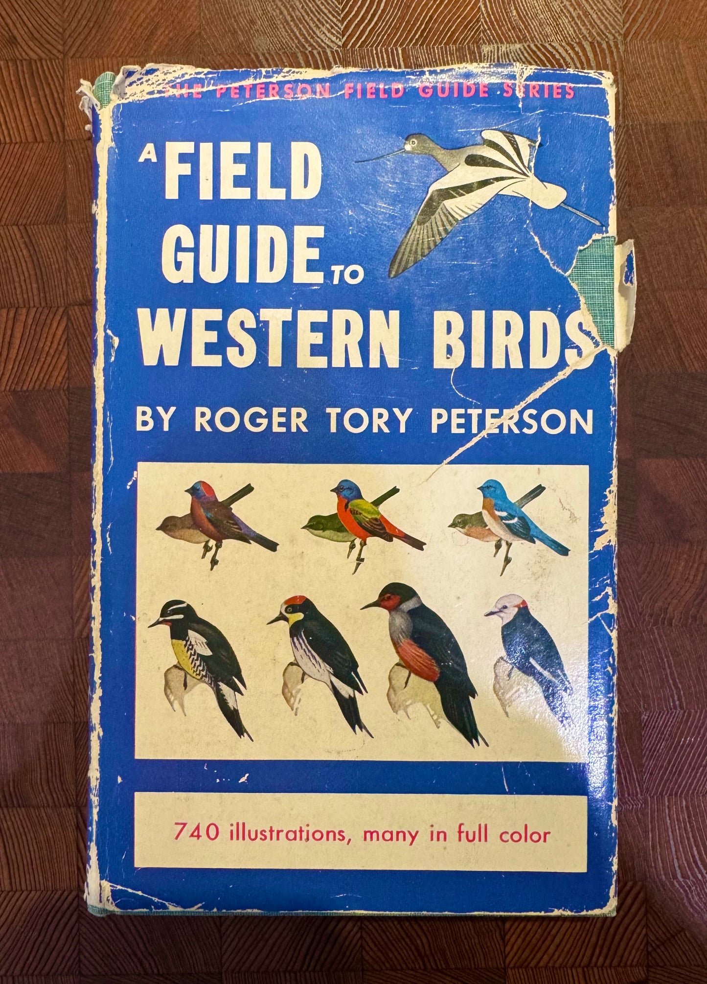 A Field Guide To Western Birds