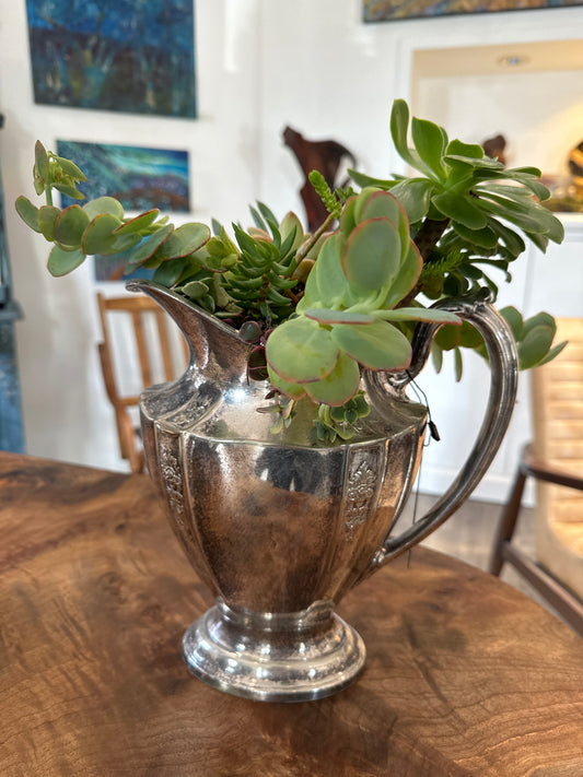 Vintage Succulent Garden-large dish.